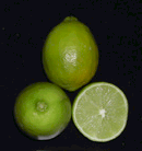 ‘比尔斯’莱姆Bearss lime