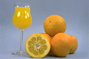 酸橙类Sour oranges