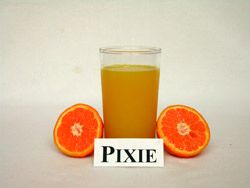 '精灵'柑Citrus reticulata 'Pixie'