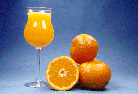 '阿尔及利亚'红橘Clementine 'Algerian'