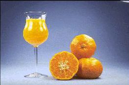 橘类Citrus reticulata 'Tangerine'