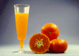 柑橘类Mandarin,Citrus reticulata