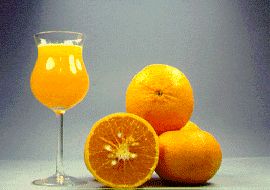 日本'加椪'国王柑Japanese King mandarin