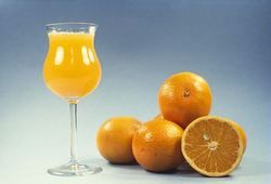 '诺瓦'橘柚Citrus reticulata 'Nova' © C.杰克蒙德/国家农业研究院(法)