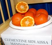 ‘西迪艾萨’红橘Clementine'Sidi Aissa'