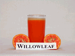 地中海柑 Mediterranean mandarin(美国称为柳叶柑Willowleaf)