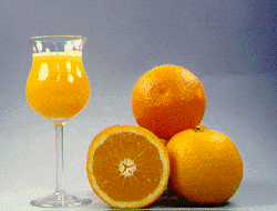 ‘卡德内拉’早熟甜橙Cadenera' early blonde orange