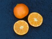 ‘奇隆加’'Chironja' orangelo