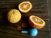 ‘杂色科蒂迪安’夏橙Cotidian Valencia orange