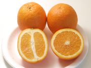 ‘德塔’夏橙'Delta' Valencia orange