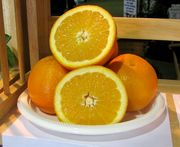 ‘费雪’脐橙'Fisher' navel orange