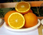 ‘福本’脐橙'Fukumoto' navel orange