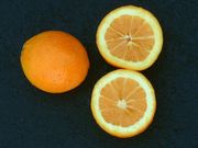 ‘锦橙’Jincheng orange