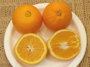‘纳佛莱特’脐橙'Navelate' navel orange