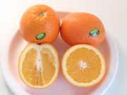 '沙莫蒂’甜橙Shamouti'Shamouti' orange