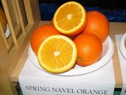 '春天'脐橙'Spring' navel orange