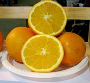 ‘汤姆森齐默尔曼’脐橙'Thomson Zimmerman' navel orange