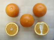 ‘特罗维塔’甜橙'Trovita' orange