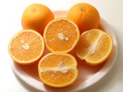 ‘伏令夏’橙'Valencia', sweet orange