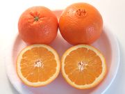 ‘华盛顿’脐橙'Washington Navel'
