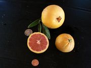 '杂色卡拉卡拉'血橙Variegated 'Cara Cara'