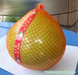 ‘蜜柚’Honey pomelo