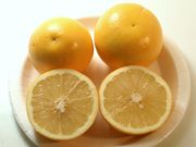 ‘马叙’Grapefruit 'Marsh'