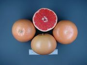 ‘星露比’Star Ruby grapefruit