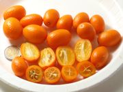 '长实'金柑Nagami kumquat