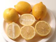 '尤力克'柠檬'Eureka' lemon