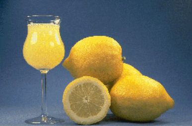 '莫纳切罗'柠檬'Monachello' lemon