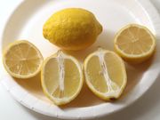 '普里莫菲奥里'柠檬'Primofiori' lemon