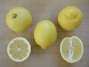 '利莫内拉8A'里斯本柠檬'Limoneira 8A' Lisbon lemon