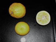 '万加赛'柠檬Vangassay, Citrus jambhiri