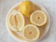 '伯纳'柠檬'Verna' lemon