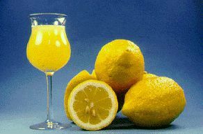 '维拉弗兰卡'柠檬'Villafranca' lemon