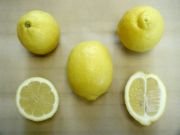 '维拉弗兰卡'柠檬'Villafranca' lemon