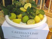 ‘卡斯特罗’莱姆Castello lime