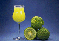 ‘卡菲尔’莱姆Kaffir lime, Citrus hystrix