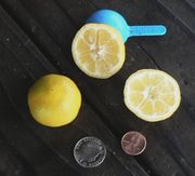 ‘草家’莱姆果切 Cut Kusaie fruit