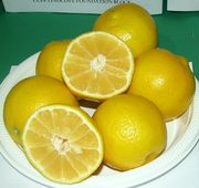 ‘玛丽艾伦’甜莱姆'Mary Ellen' sweet lime