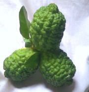 ‘默迪卡’莱姆Merdeka lime