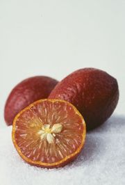 澳洲血莱姆Australian Blood Lime, © CSIRO Plant Industry