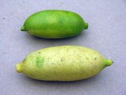 '福斯特里姆'指檬Faustrime