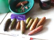 '澳指檬'Australian finger lime