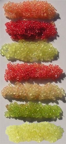 野生指檬的柑橘类鱼子酱品种Wild Finger Lime Citrus Caviars
