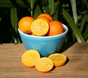 '腊斯克'枳橙 Citrange 'Rusk'