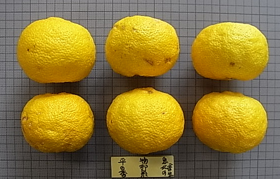 果实 (MAFF, Japan)