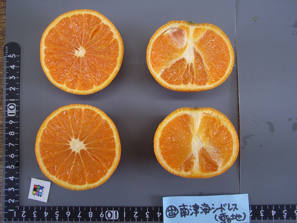 果实 (MAFF, Japan)
