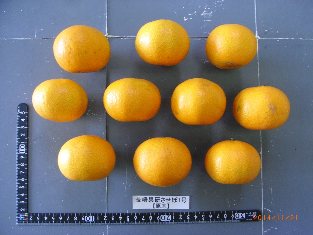 果实 (MAFF, Japan)